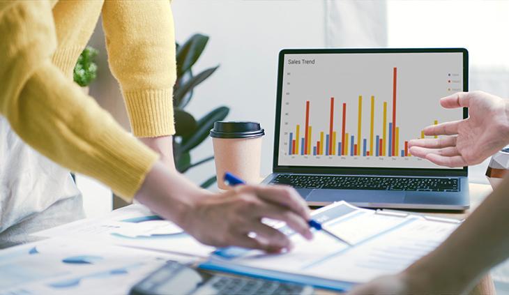  What are the financial ratios variance analysis?