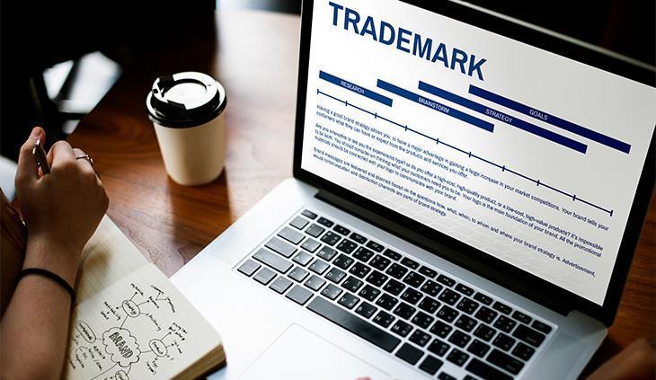  Are Trademark Applications public in India?