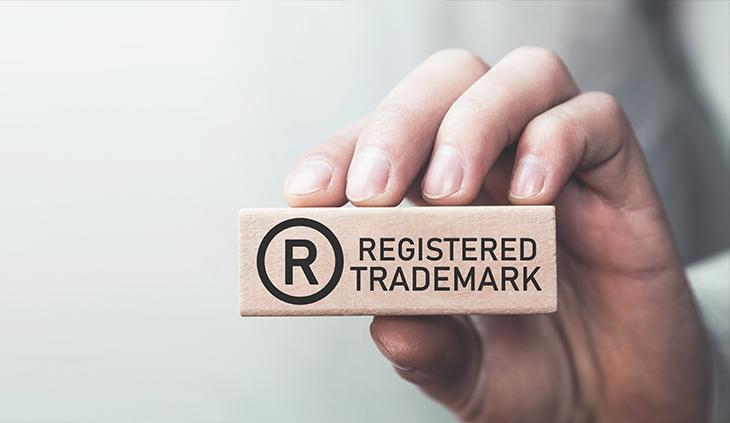  Are Trademark Costs Capitalized in India?