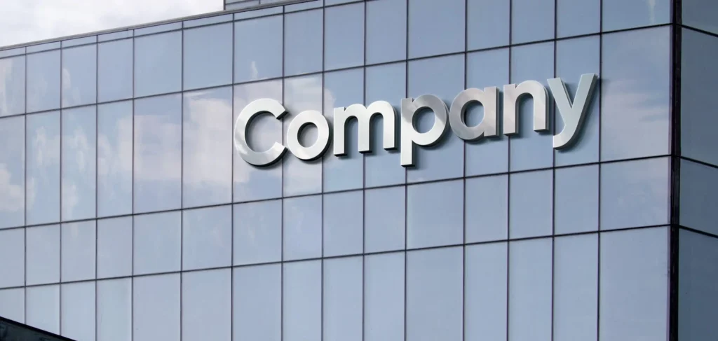 What is the difference between Shell Companies, Dormant Companies, small companies, Subsidiary Companies, and Foreign Companies in India?