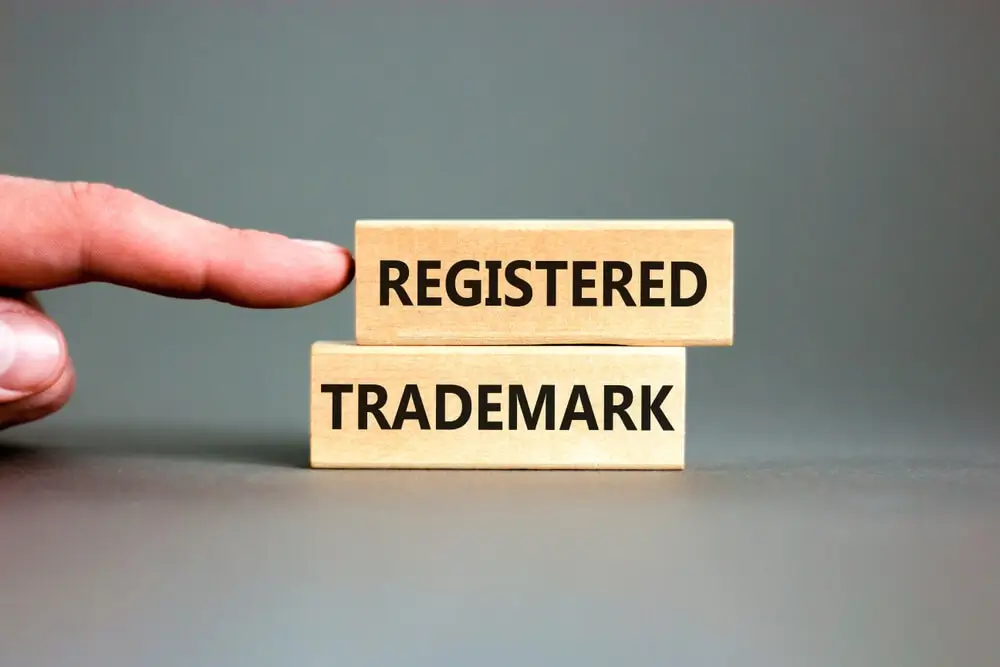 Why having a registered trademark important and what are the different types of marks that can be registered in India?