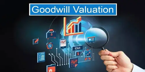 When is the Valuation of Goodwill of the Company required? How is the valuation of goodwill done?