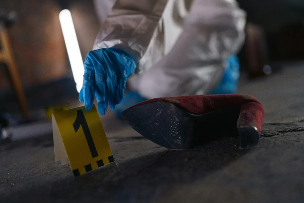 When should one seek forensic audits?